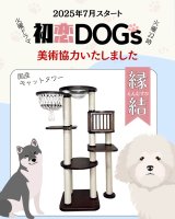 ドラマに美術協力いたしました