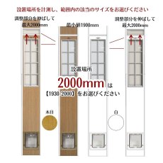 画像16: FDCJ◆基本のフリードア　猫用キャットフリードア　JFD-1750　 【大型1個口】 (16)