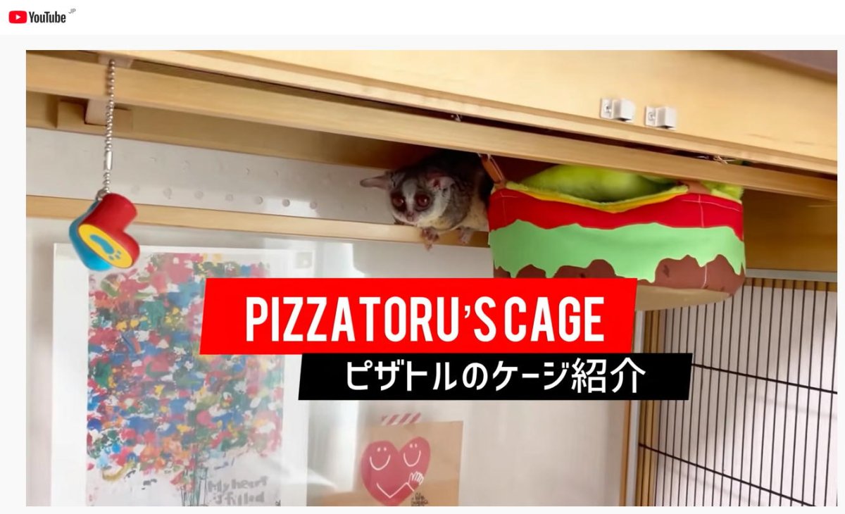 画像9: 【即納品】ショウガラゴのピザトル君ご愛用・木製ケージ（仕様変更不可です） (9)