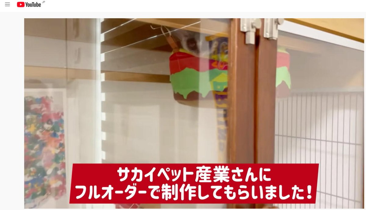 画像10: 【即納品】ショウガラゴのピザトル君ご愛用・木製ケージ（仕様変更不可です） (10)