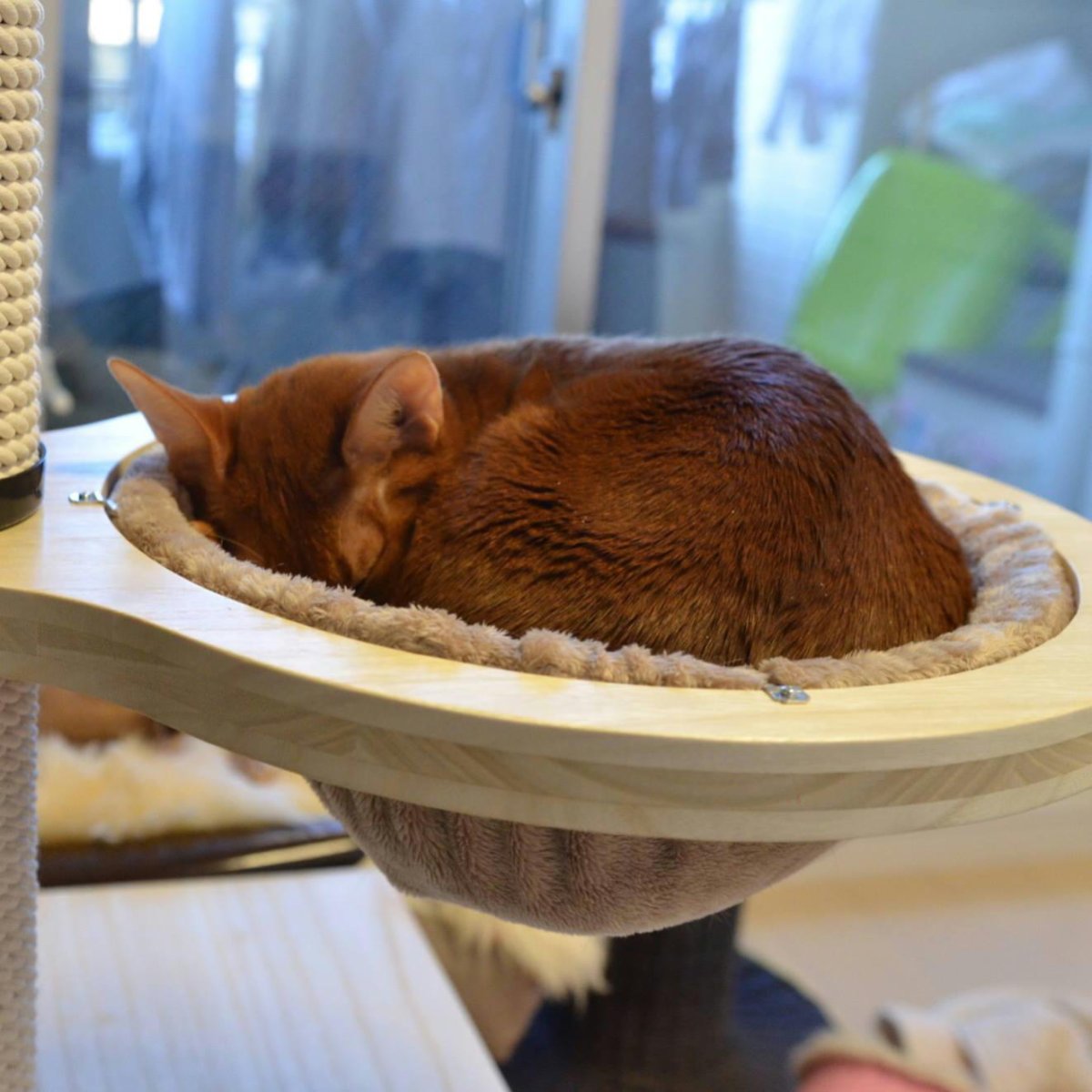 画像2: キャットタワー部品 ： 布製ハンモック (2)