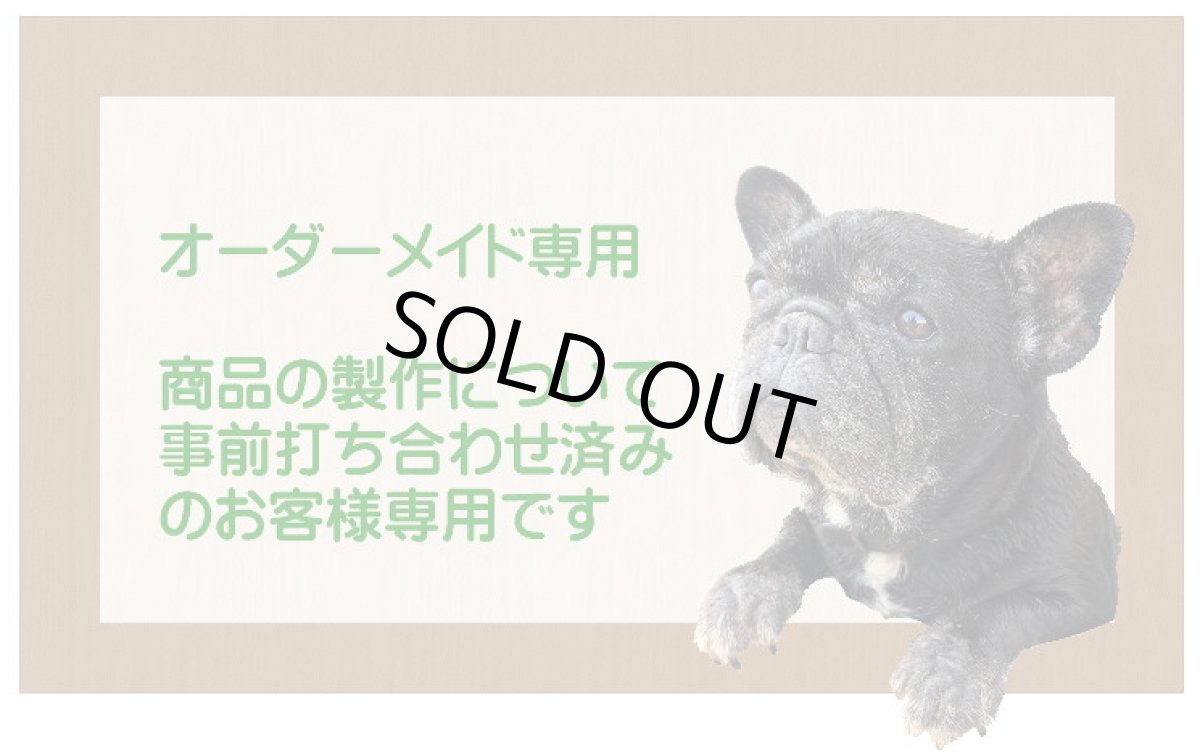 画像1: 【Ｋ様専用】大型犬用フリードア　DFL-1650　 【大型1個口】 (1)