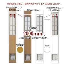 画像12: DFD◆ 大型犬用ドッグフリードア　DFL-1750　 【大型1個口】 (12)