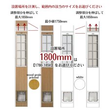 画像10: DFD◆ 大型犬用ドッグフリードア　DFL-1750　 【大型1個口】 (10)