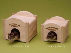 画像2: 【メキシカンハウスＳ】 (2)