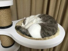画像1: Ｍ様専用 ： 布製ハンモック (1)