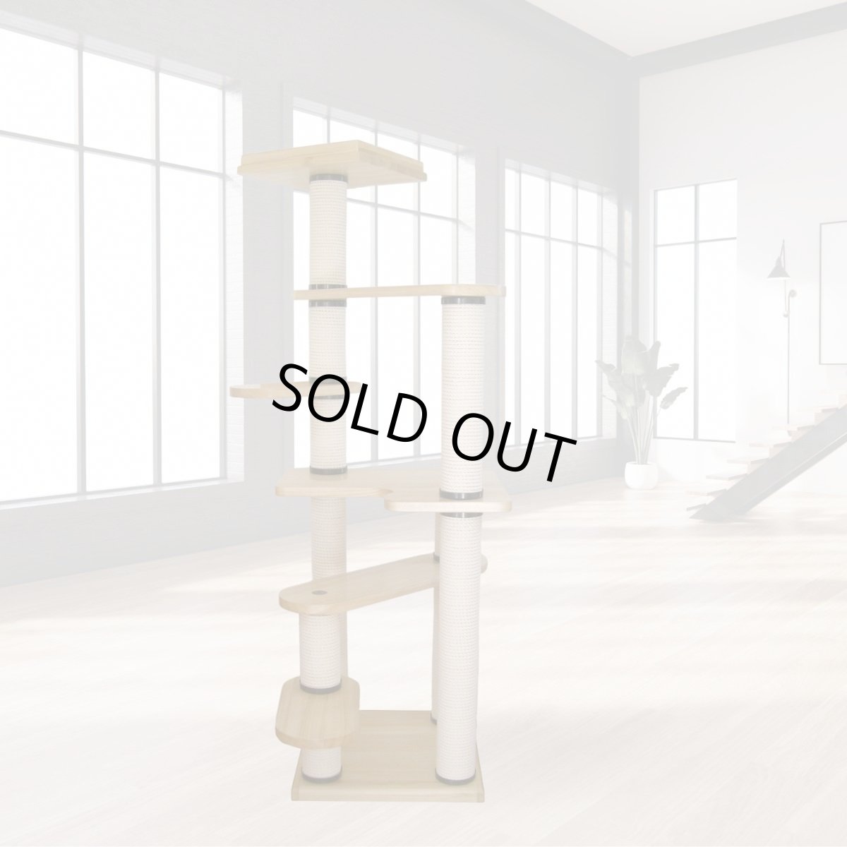 画像1: 【Ｔ様】トルネードムーブＭＢ・絨毯貼付け加工 (1)