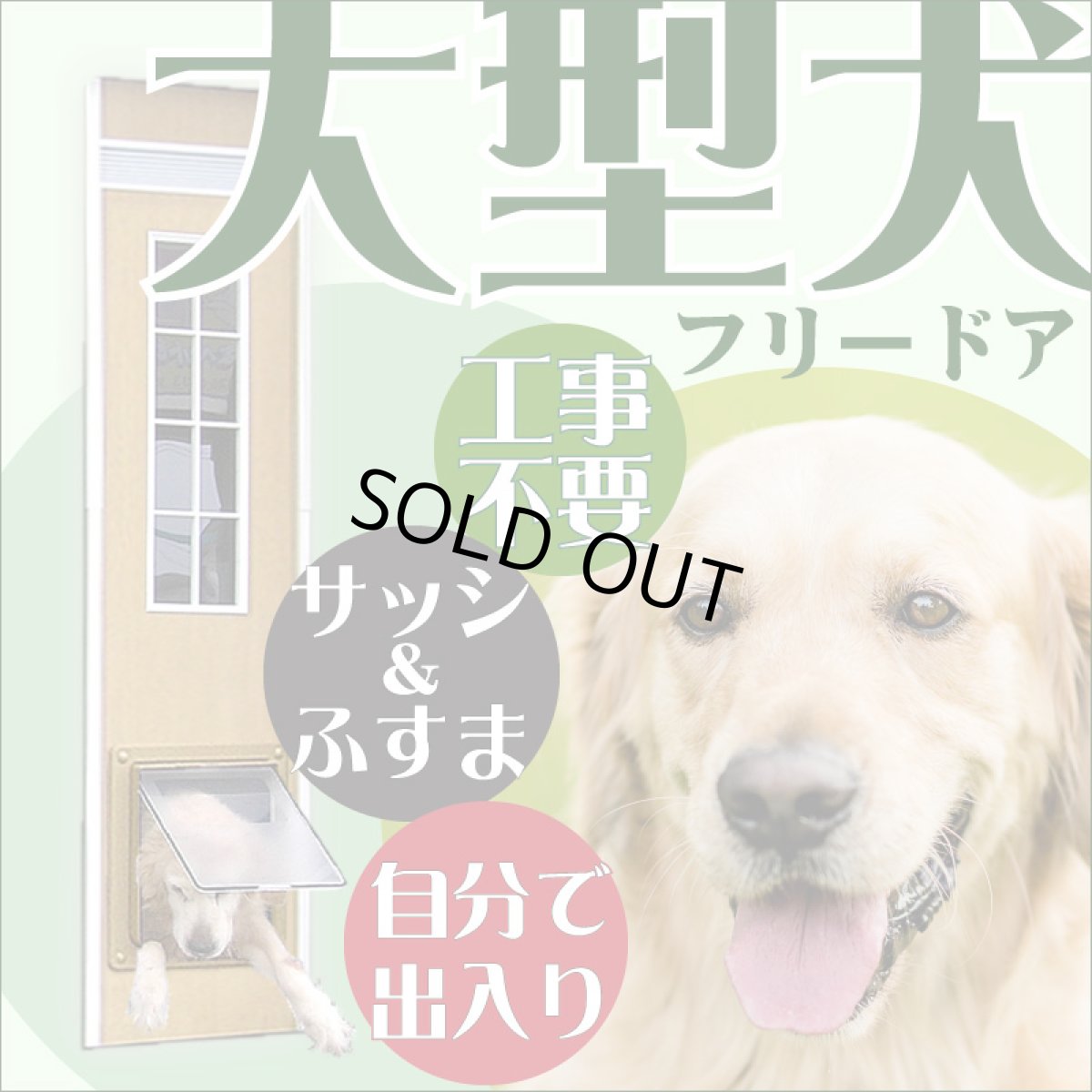 画像1: DFD◆ 大型犬用ドッグフリードア　DFL-1750　 【大型1個口】 (1)
