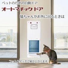 画像3: ニューオートマチックドア (3)