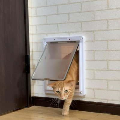 画像2: DFD◆ 中型犬用ドッグフリードア　DFM-1750　 【大型1個口】