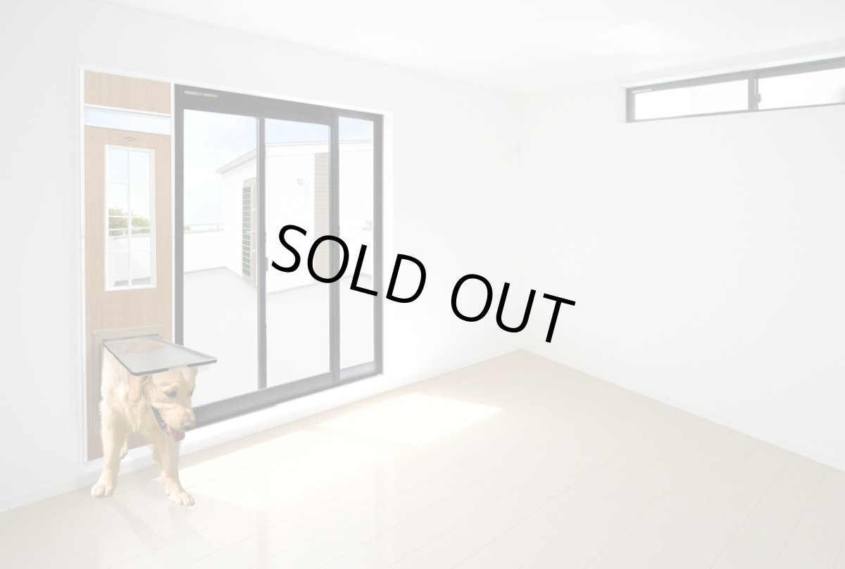 画像10: 【訳ありFD】【1】DFD◆ 大型犬用ドッグフリードア　DFL-1750　 【大型1個口】 (10)