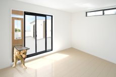 画像4: DFD◆ 大型犬用ドッグフリードア　DFL-1750　 【大型1個口】 (4)