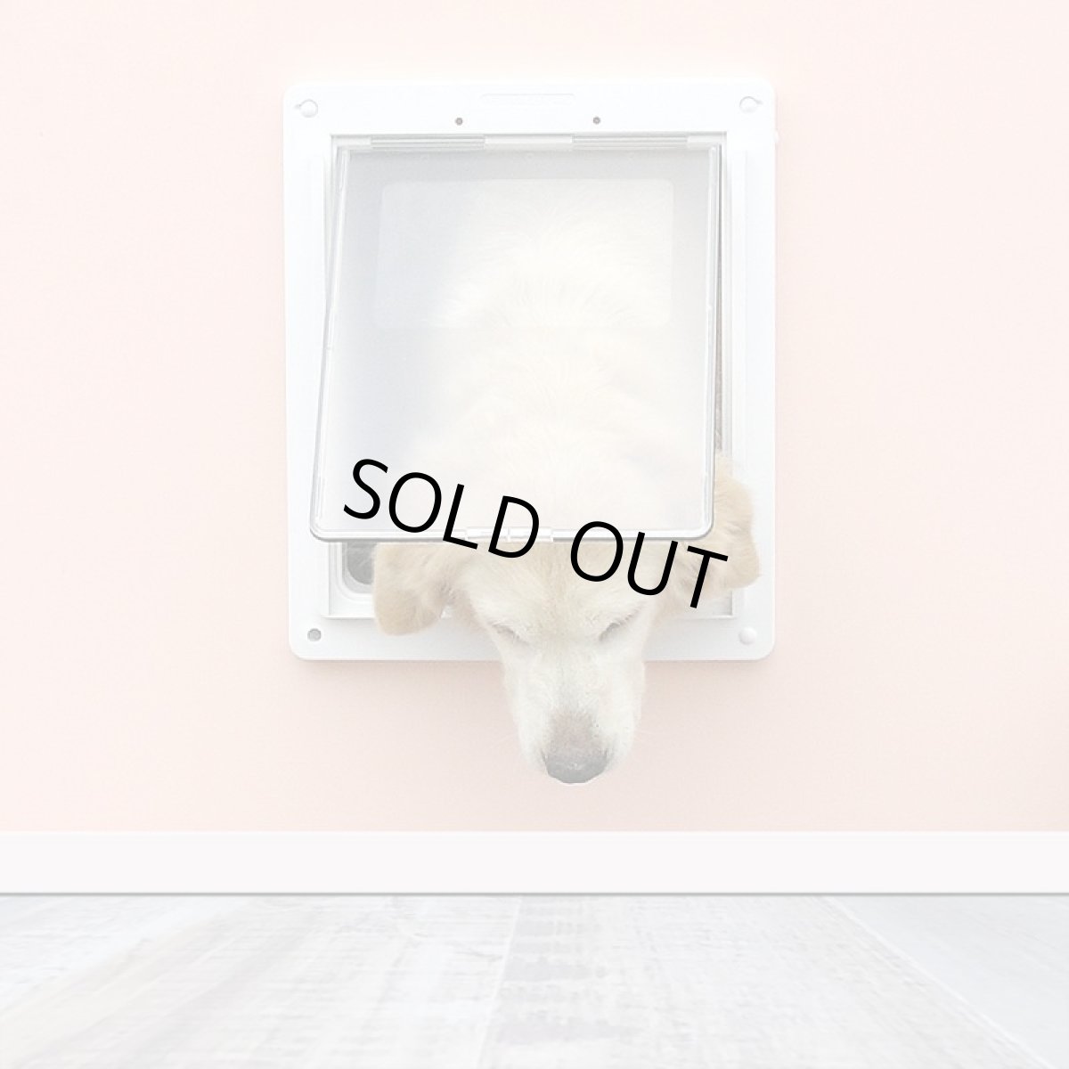 画像7: 【訳ありFD】【1】DFD◆ 大型犬用ドッグフリードア　DFL-1750　 【大型1個口】 (7)