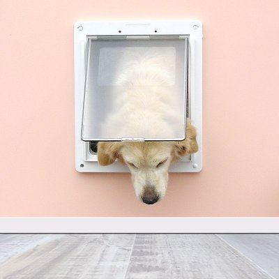 画像1: DFD◆ 大型犬用ドッグフリードア　DFL-1750　 【大型1個口】