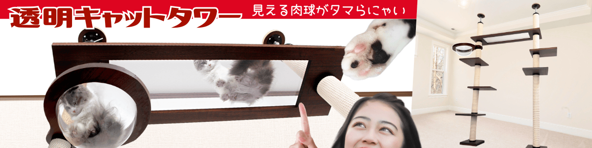透明キャットタワー