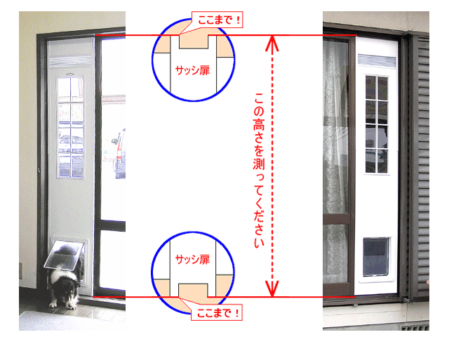 DFD◇ 小型犬用ドッグフリードア CFS-1750 【大型1個口】 - サンエル