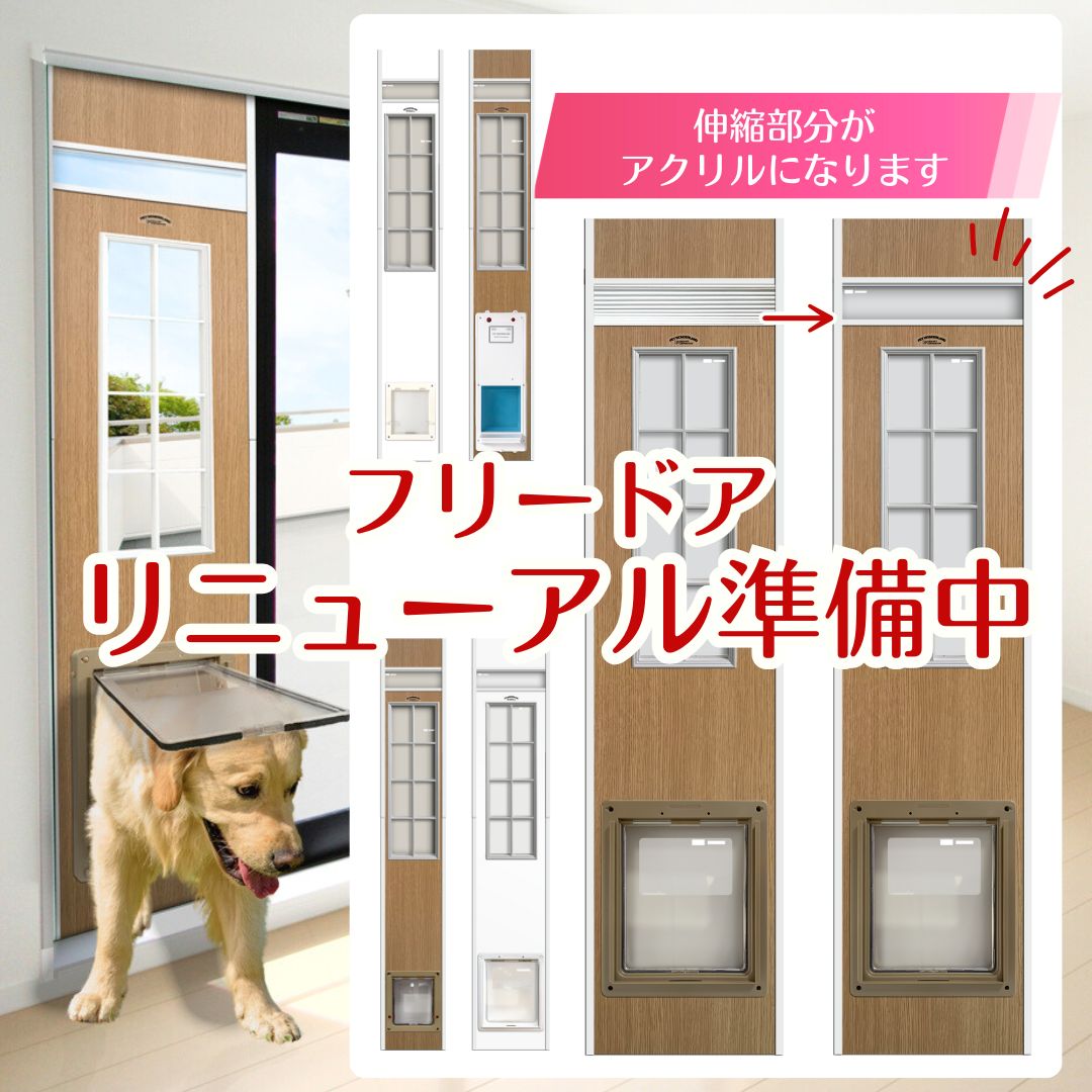 FDリニューアル